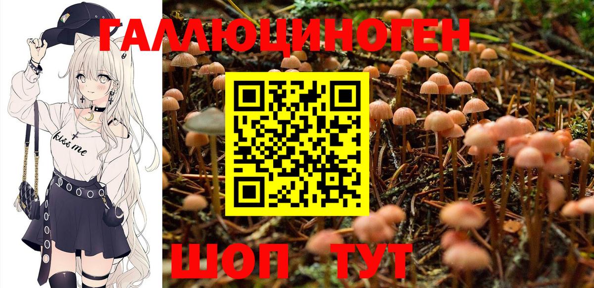 Петропавловск-Камчатский  Галлюциногенные грибы Psilocybe  Вход с VPN  Галлюциногенные грибы Psilocybine cubensis 